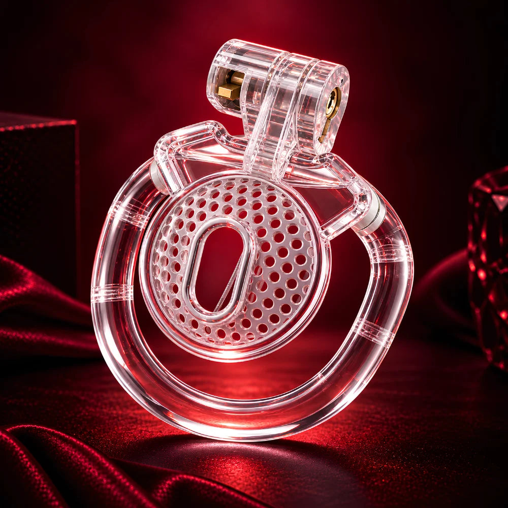 Transparent plastic chastity cage with four rings and perforated front plate, close-up