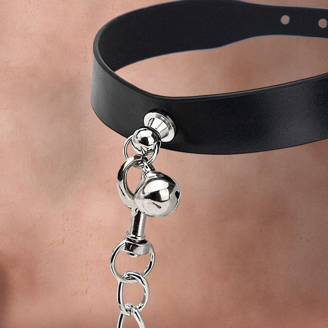 Pu leather Metal Chain Collar leash