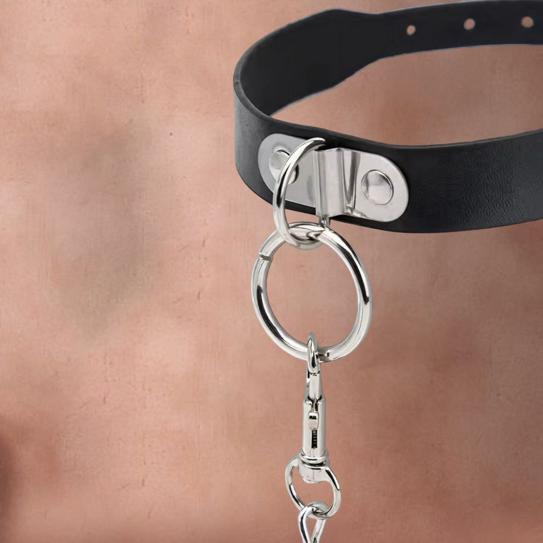 Pu leather Metal Chain Collar leash