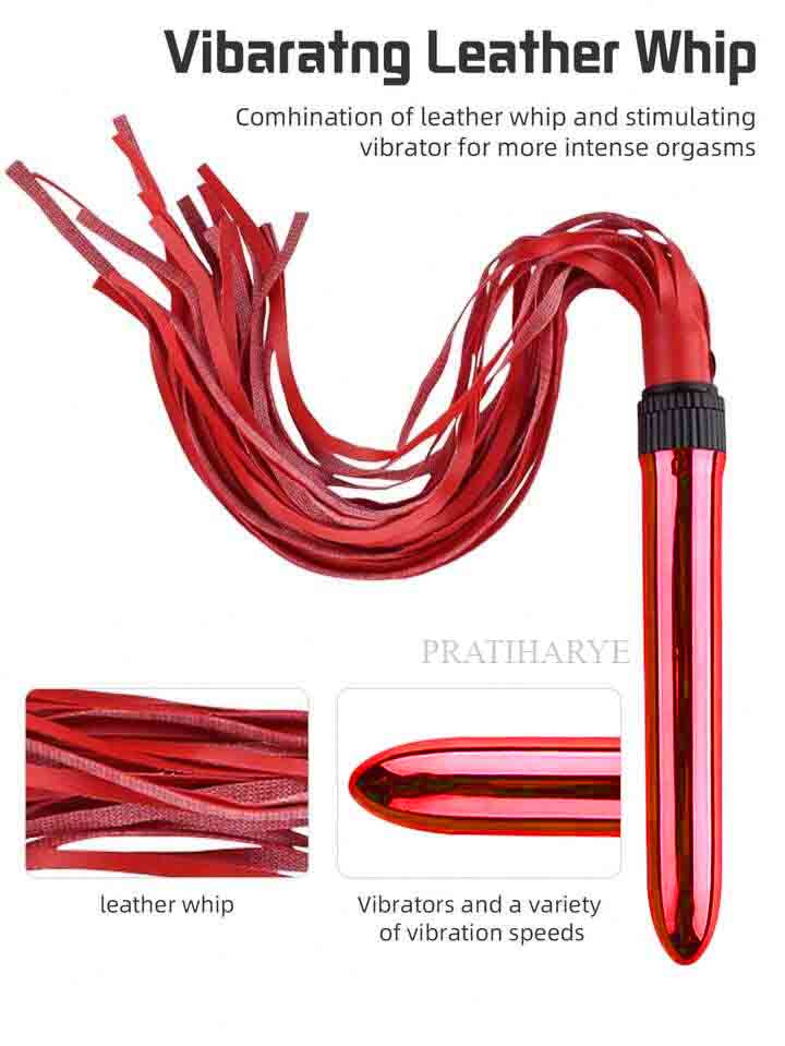 Whip Bullet Vibrator