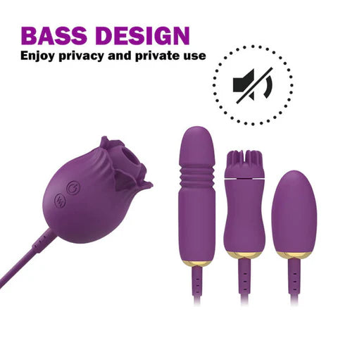 4 in 1 Vibrating Pleasure Adult Toy