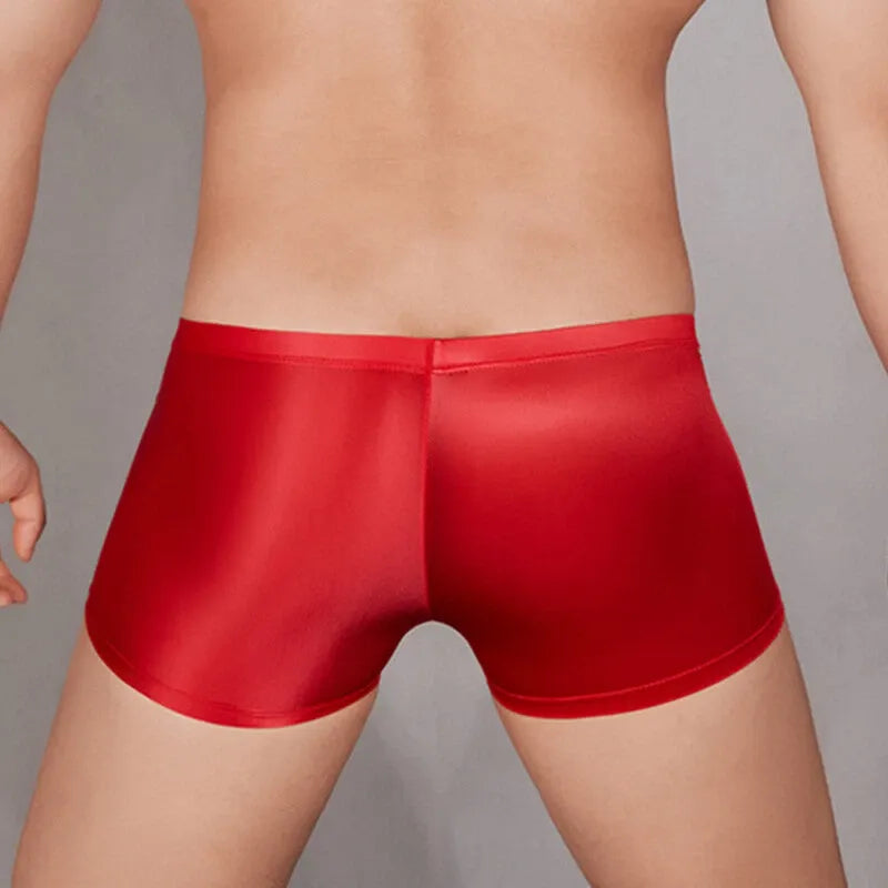 Men’s Red Glossy Lycra Brief
