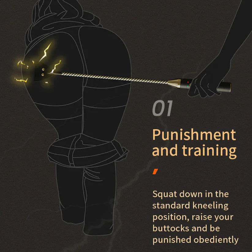 Premium Electric Stimulation Shock Device Pat Long Stick